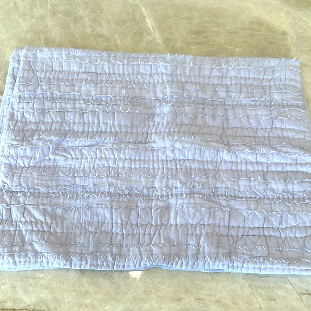 RH Baby and Child Lavender/Lilac Frayed Voile Shams Set of 2